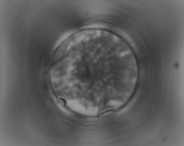 X0000092011425200709271520