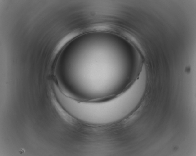 X0000092011426200709271520