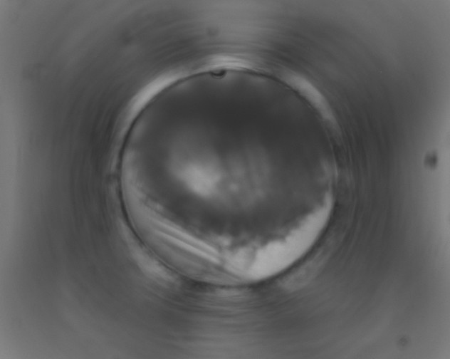 X0000092011427200709271520