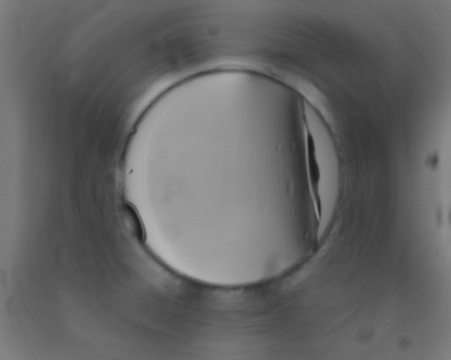 X0000092011428200709271520