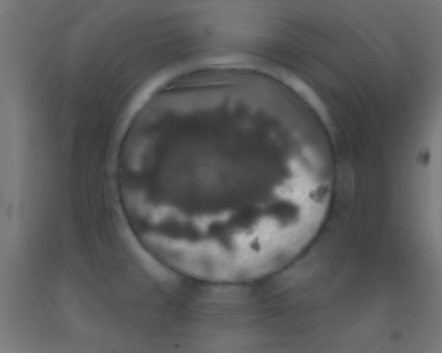 X0000092011429200709271520