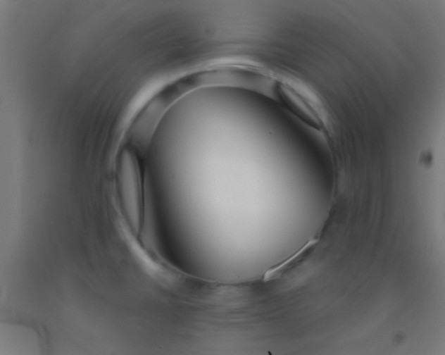 X0000092011430200709271520