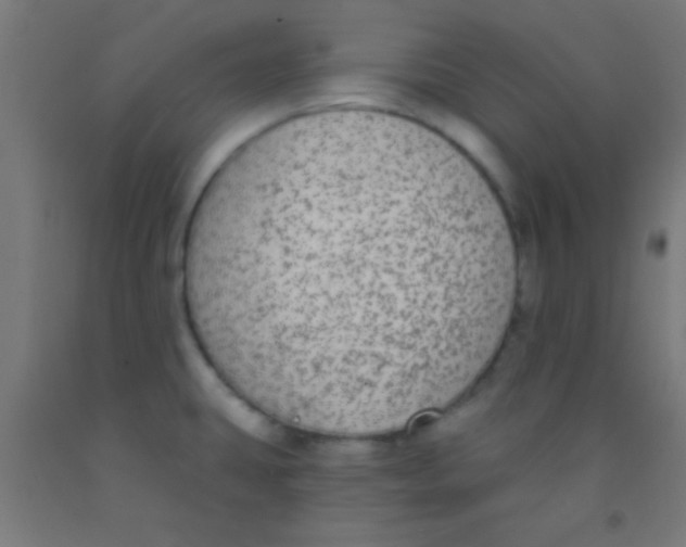 X0000092011431200709271520