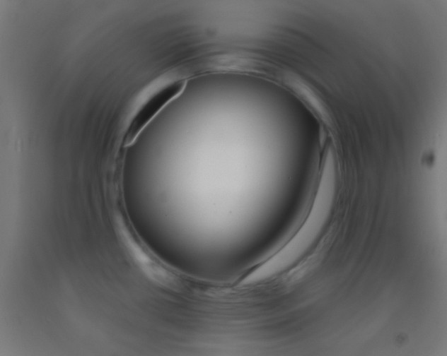 X0000092011434200709271520