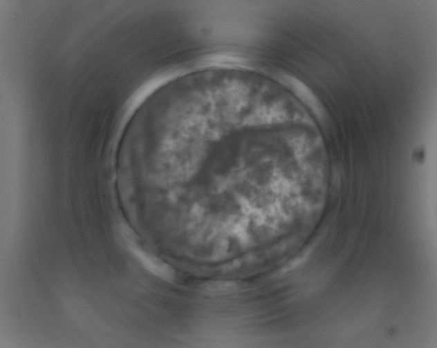 X0000092011435200709271520