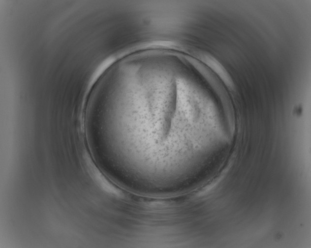 X0000092011436200709271520