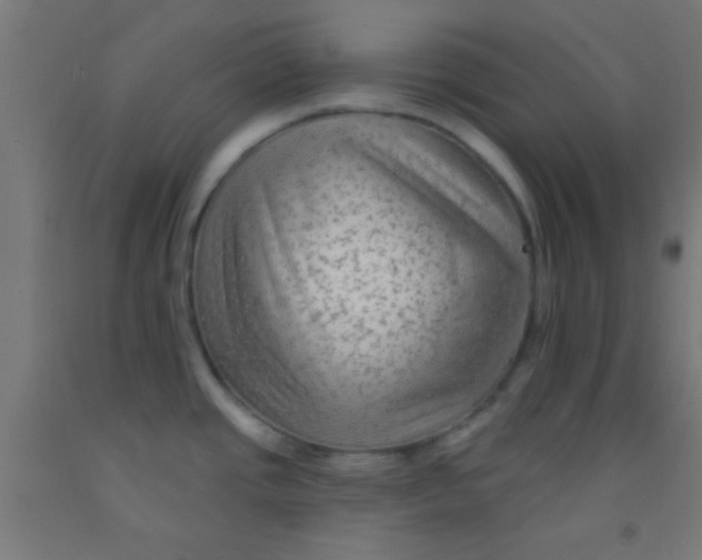 X0000092011437200709271520