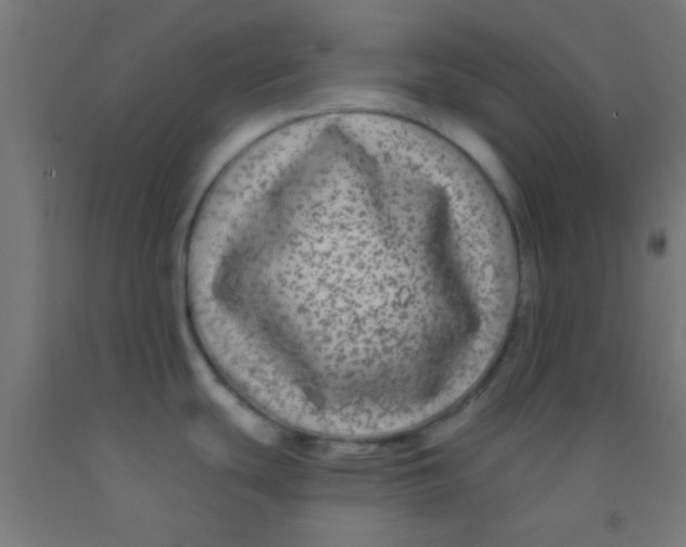 X0000092011439200709271520