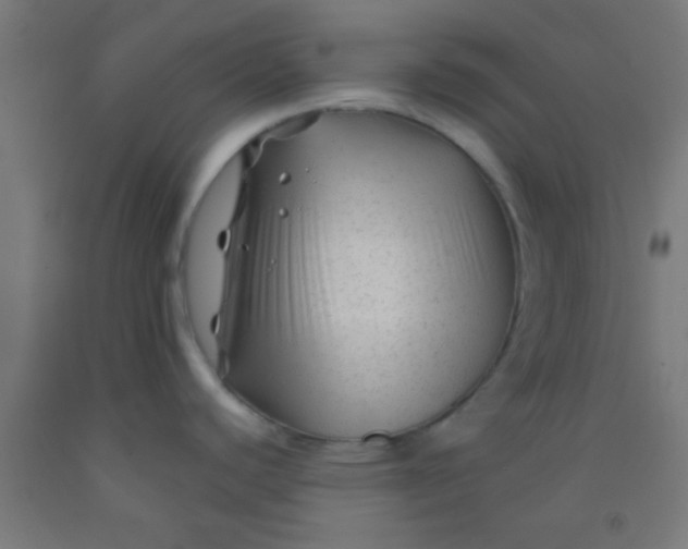 X0000092011440200709271520