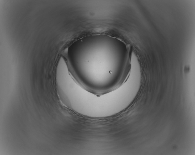 X0000092011441200709271519