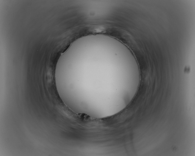 X0000092011442200709271519