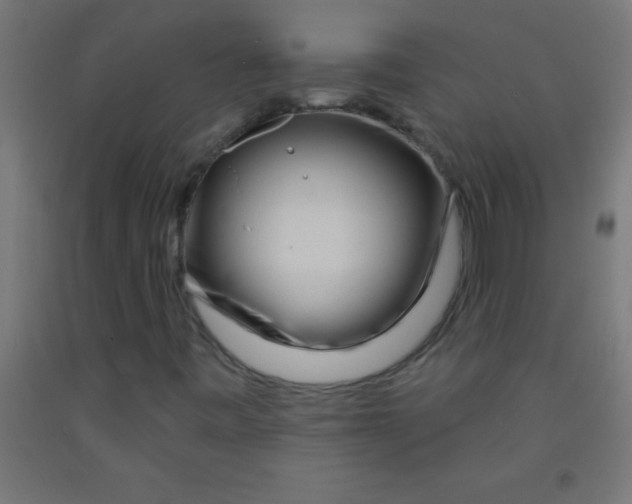 X0000092011443200709271519