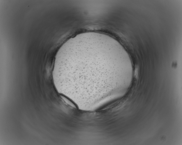 X0000092011444200709271519