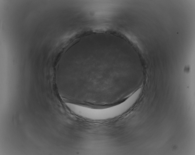 X0000092011445200709271519