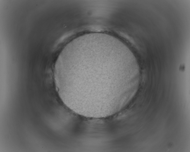 X0000092011446200709271519