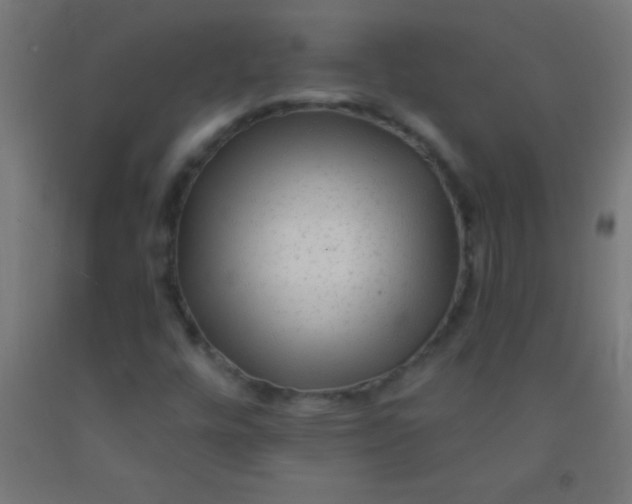 X0000092011448200709271519