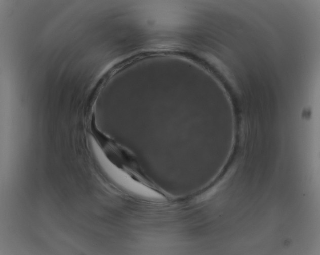 X0000092011449200709271519