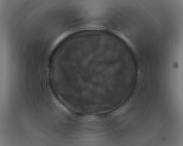 X0000092011450200709271519