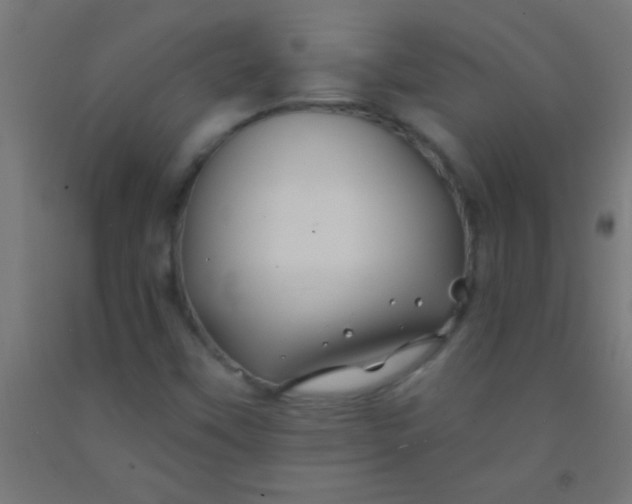 X0000092011451200709271519