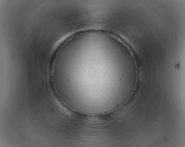 X0000092011452200709271519