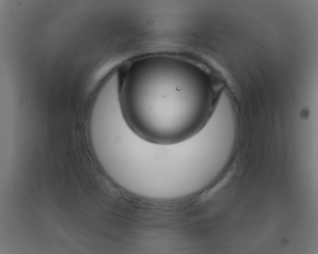 X0000092011453200709271519