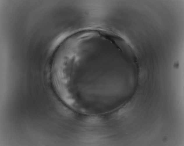 X0000092011455200709271519