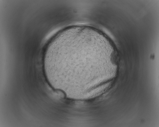 X0000092011456200709271519