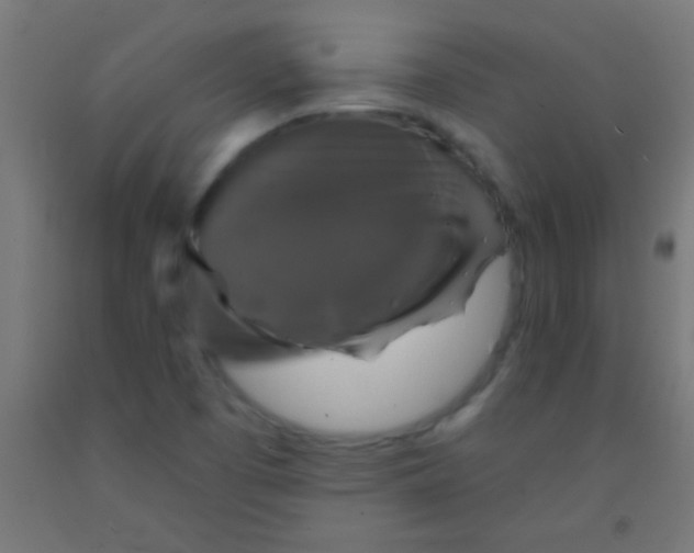 X0000092011457200709271519