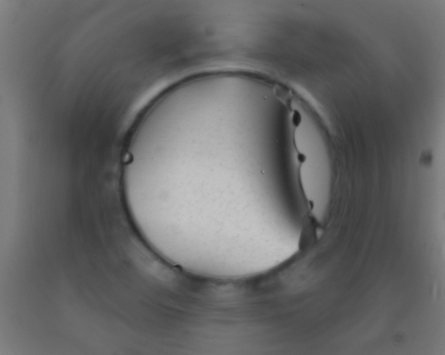 X0000092011460200709271519