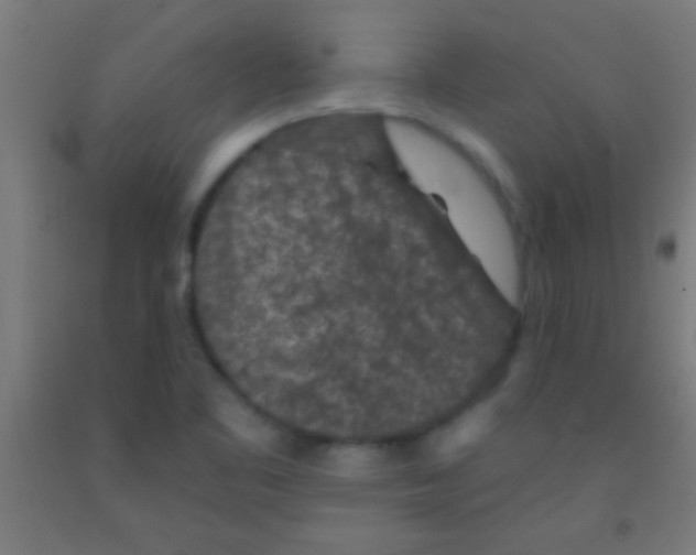 X0000092011461200709271519