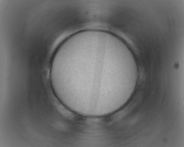 X0000092011462200709271519