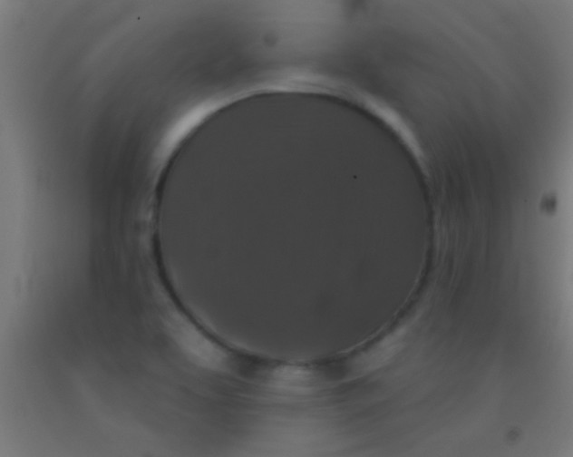 X0000092011463200709271519