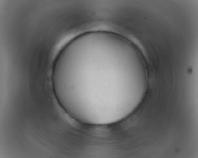 X0000092011464200709271519