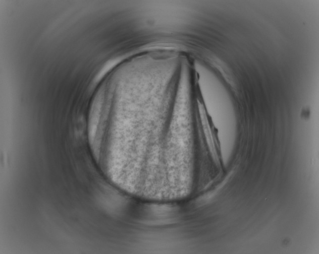 X0000092011465200709271519