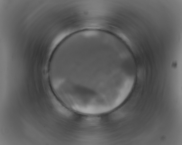 X0000092011466200709271519