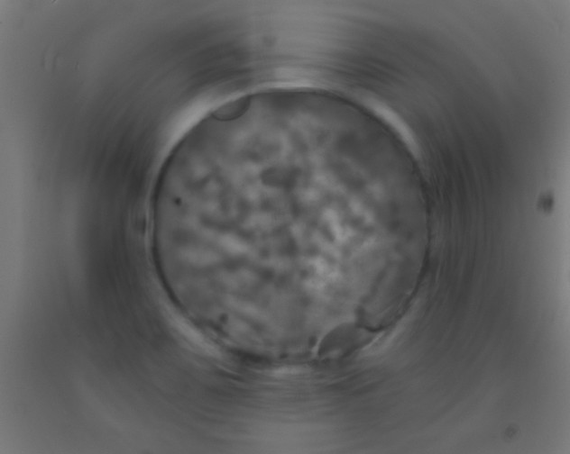 X0000092011467200709271519