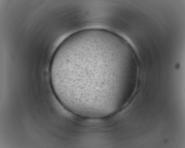 X0000092011468200709271519