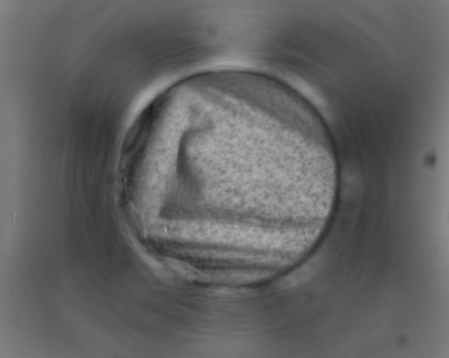 X0000092011469200709271519