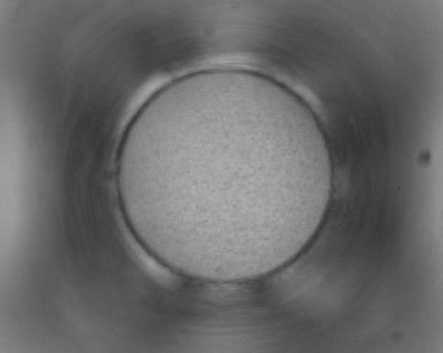 X0000092011470200709271519