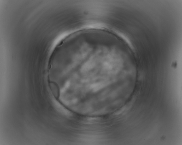 X0000092011471200709271519