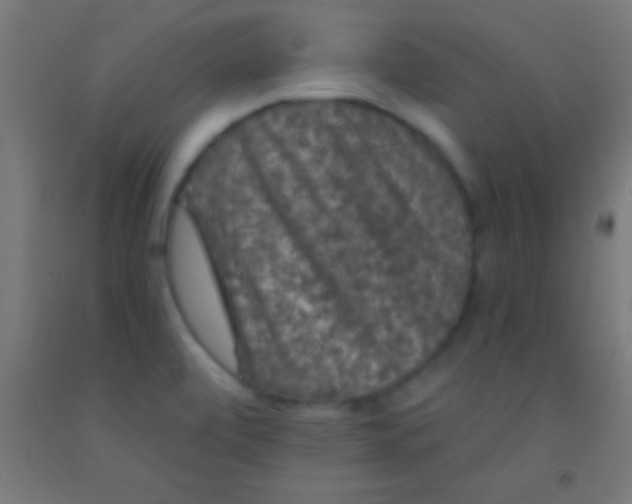 X0000092011472200709271519