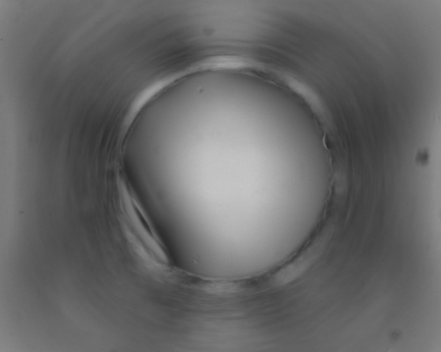 X0000092011473200709271519