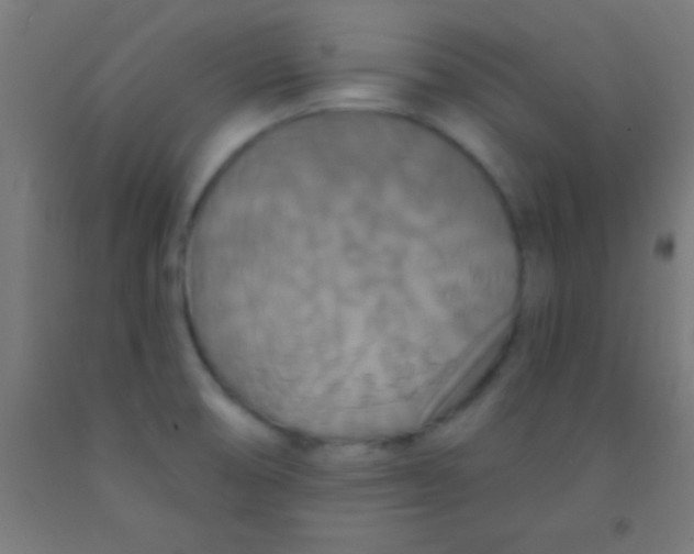 X0000092011474200709271519