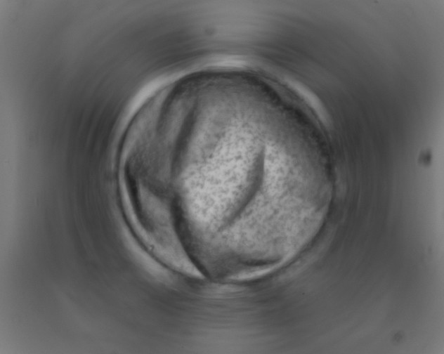 X0000092011475200709271519