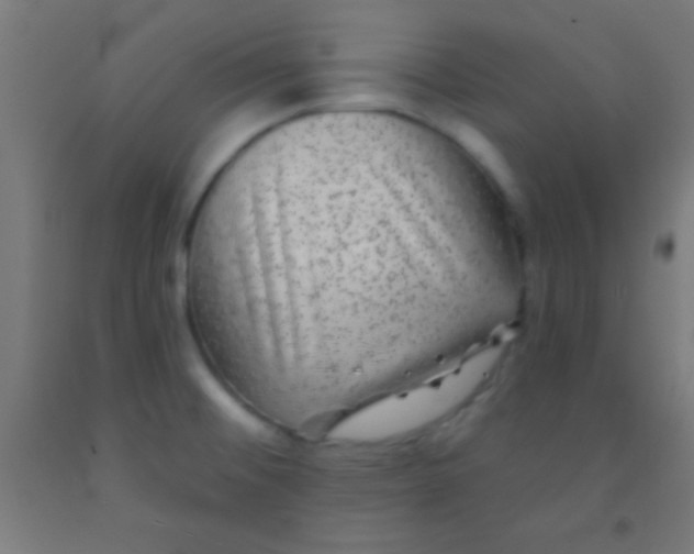 X0000092011476200709271519