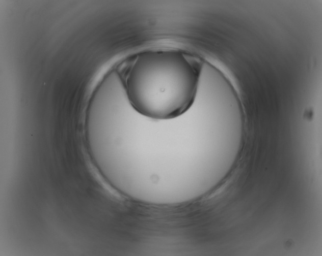 X0000092011477200709271519