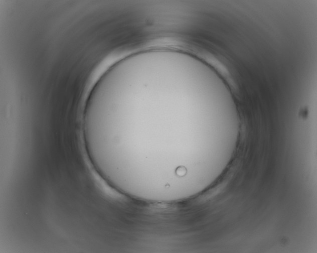 X0000092011478200709271519