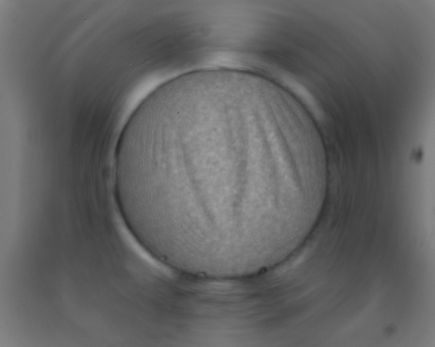 X0000092011479200709271519