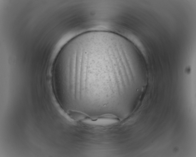 X0000092011480200709271519