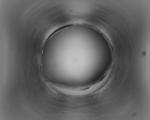 X0000092011481200709271519